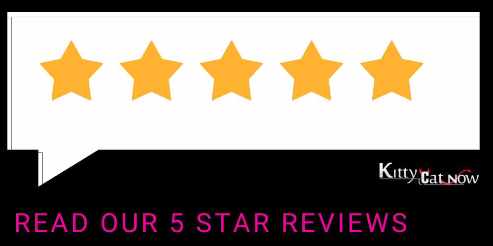 Kitty Cat Now Denver reviews