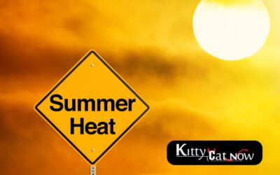 How to Heat Up Your Summer Parties with Exotic Dancers in Denver
