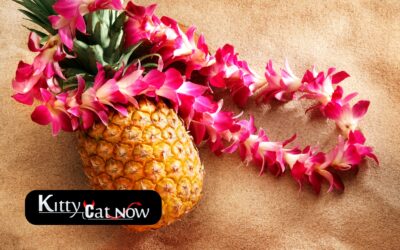 Top 5 Summer Party Themes with Strippers In Denver