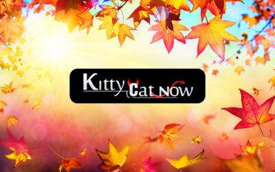 Why Fall Is the Best Season for Bachelor & Bachelorette Parties in Denver
