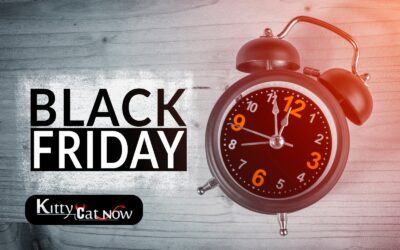 Black Friday Party Ideas: Celebrate Big with Exotic Dancers in Denver