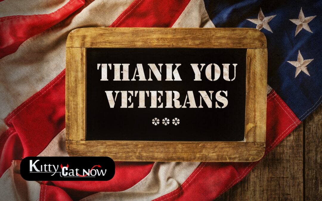 Veterans Day Ideas: Private Entertainers Bring the Party to You in Denver