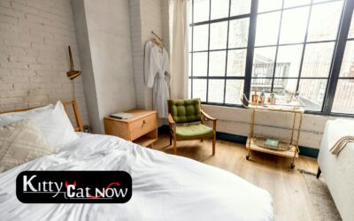 Planning a Private Airbnb Party with Strippers in Denver