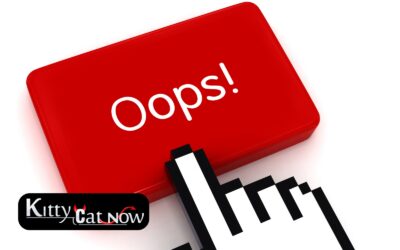 Top Mistakes to Avoid When Booking Strippers in Denver