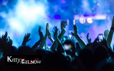 Why Booking Strippers from an Agency Is Safer Than Independents in Denver