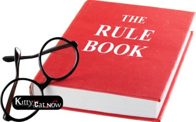 Bachelor Party House Rules in Denver Before the Strippers Arrive