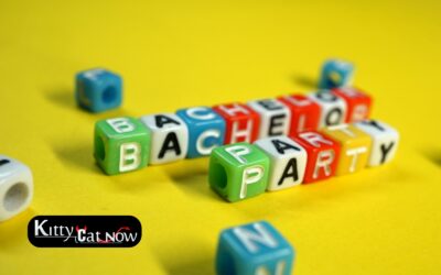 Bachelor Party House Rules in Denver: Set the Right Vibe Before the Entertainment Arrives