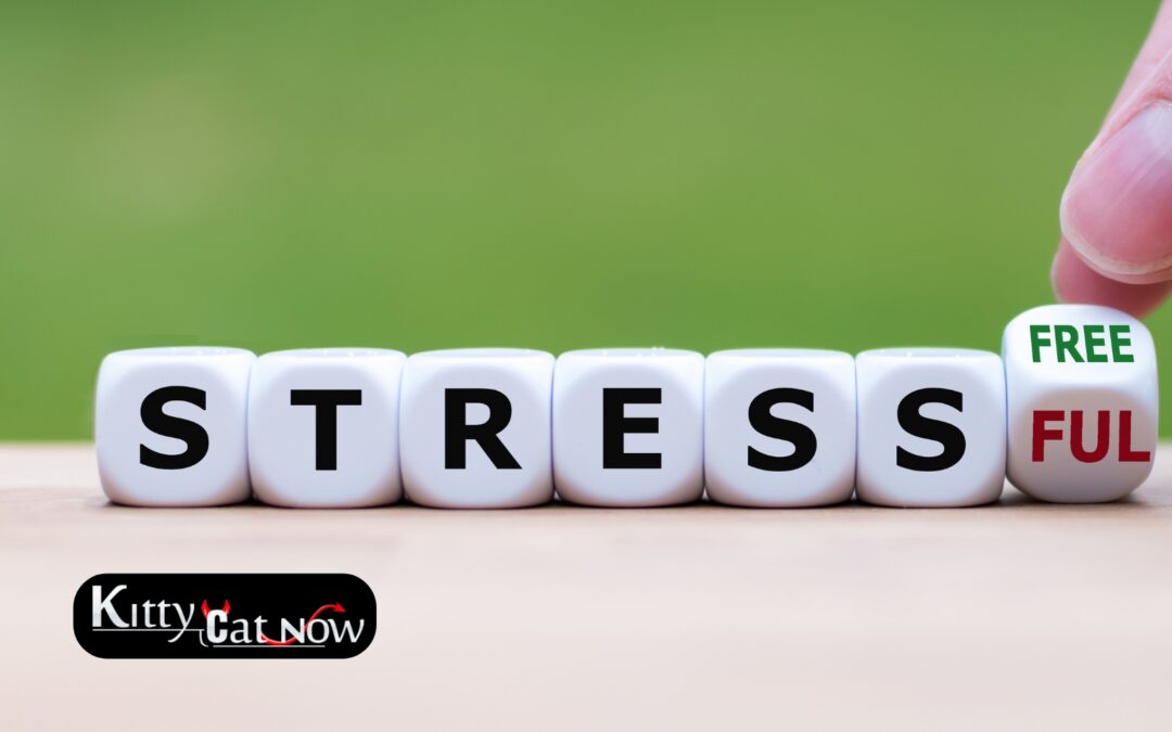 Hosting Private Party Entertainment at Home in Denver: A Stress-Free Guide