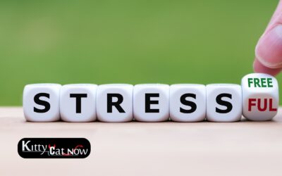 Hosting Private Party Entertainment at Home in Denver: A Stress-Free Guide