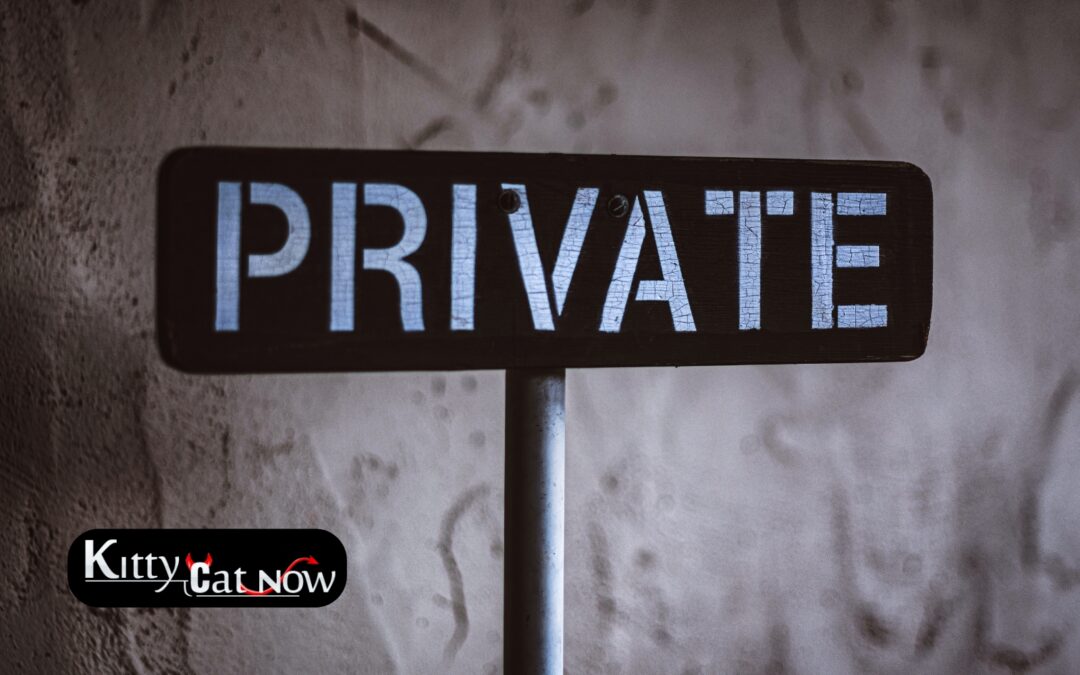 Why Private Party Entertainment Beats the Club Scene in Denver