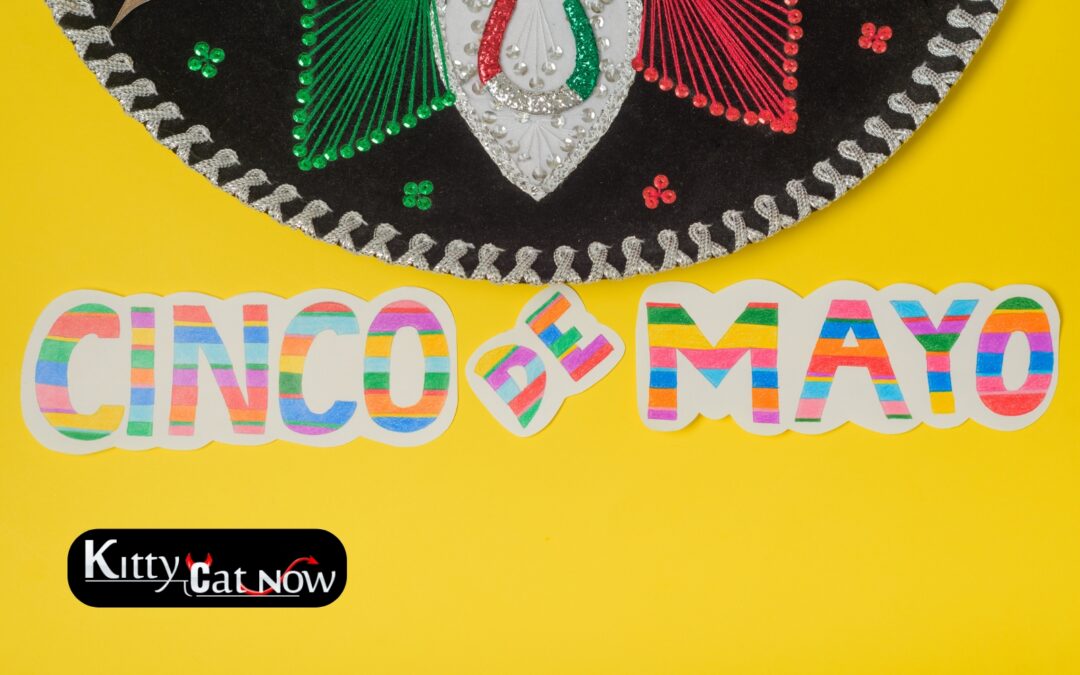 Cinco de Mayo Party Ideas in Denver: Tacos, Tequila & Private Strippers