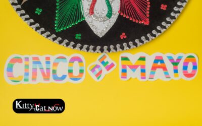 Cinco de Mayo Party Ideas in Denver: Tacos, Tequila & Private Strippers