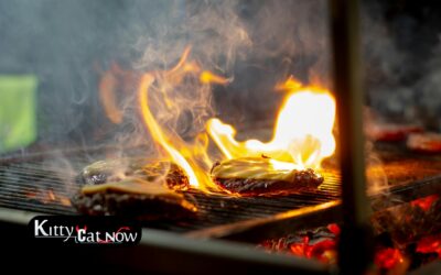 Memorial Day Party Ideas in Denver: BBQ, Private Entertainment & VIP Vibes