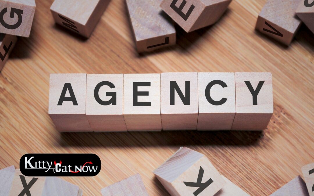 How to Choose a Legit Stripper Agency in Denver