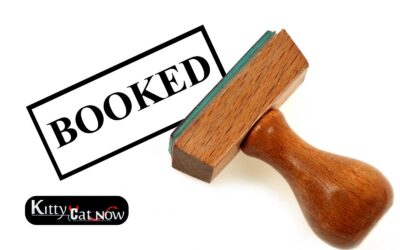 When to Book Strippers in Denver (Peak Times)