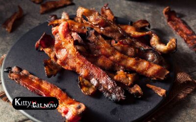 Boobs & Bacon in Denver: The Ultimate Sunday Morning Bachelor Party Experience