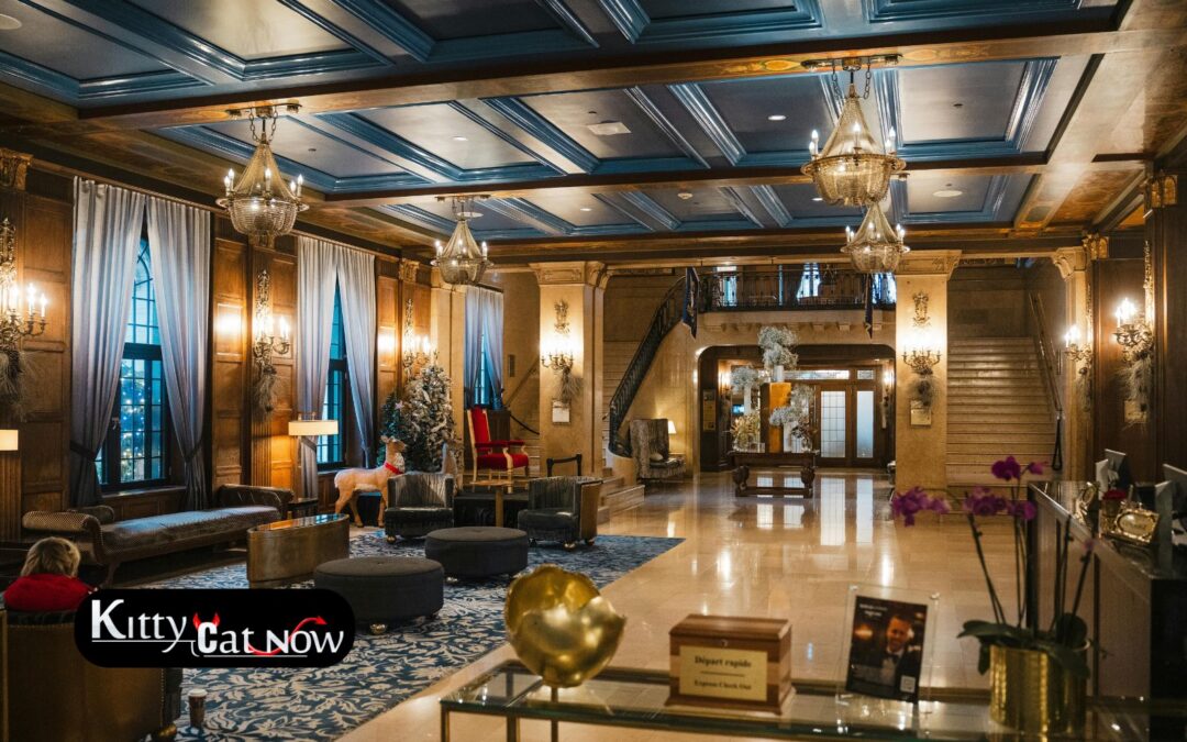 Hotel Suite vs. House Rental: Where to Host Your Denver Bachelor Party