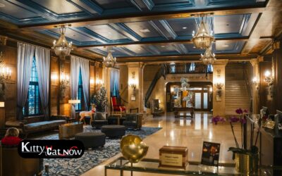 Hotel Suite vs. House Rental: Where to Host Your Denver Bachelor Party