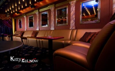 Strip Clubs vs. Private Strippers in Denver